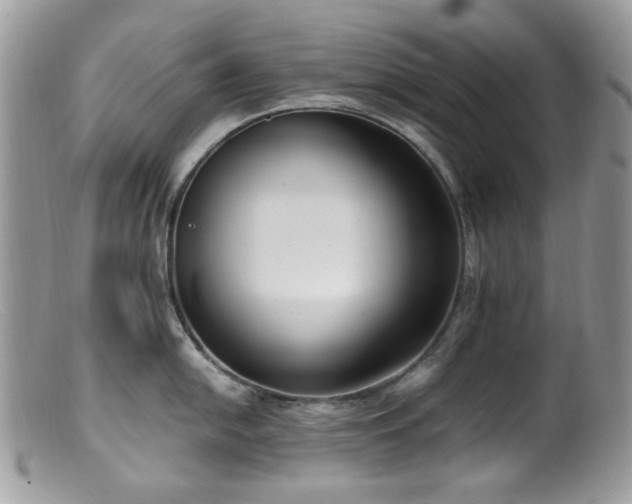 X0000099401054200805151701