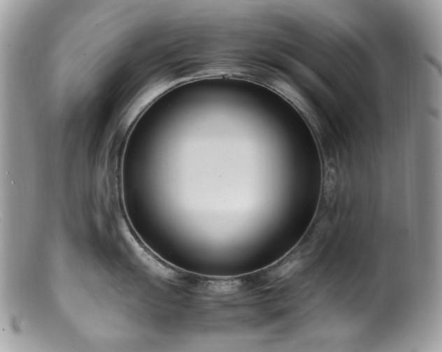 X0000099401055200805151701