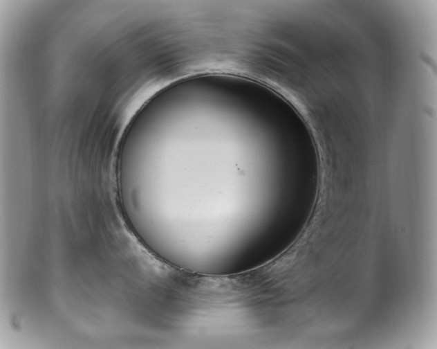 X0000099401056200805151701