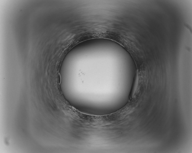 X0000099401057200805151700