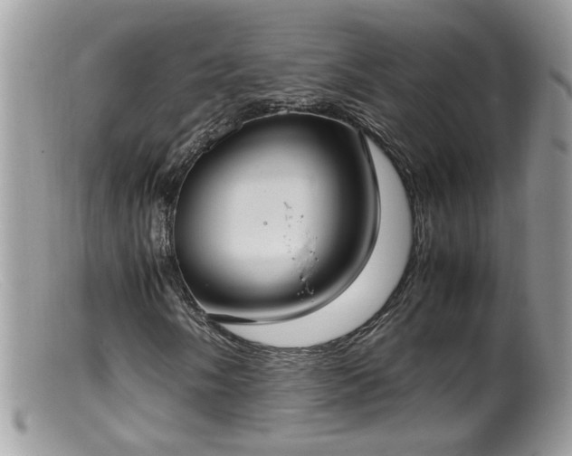 X0000099401058200805151700