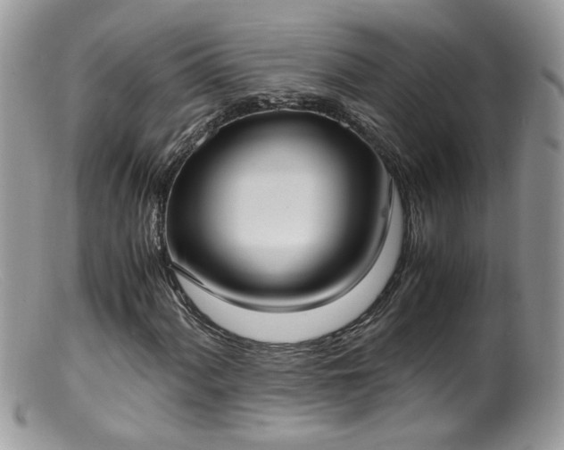 X0000099401060200805151700