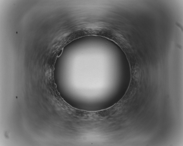 X0000099401061200805151700