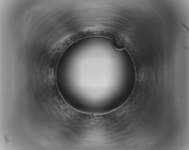 X0000099401062200805151700