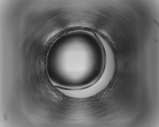 X0000099401064200805151700