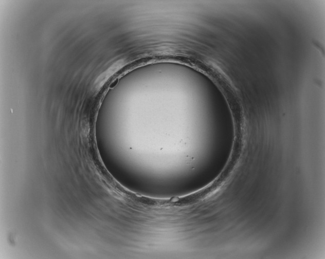 X0000099401065200805151700