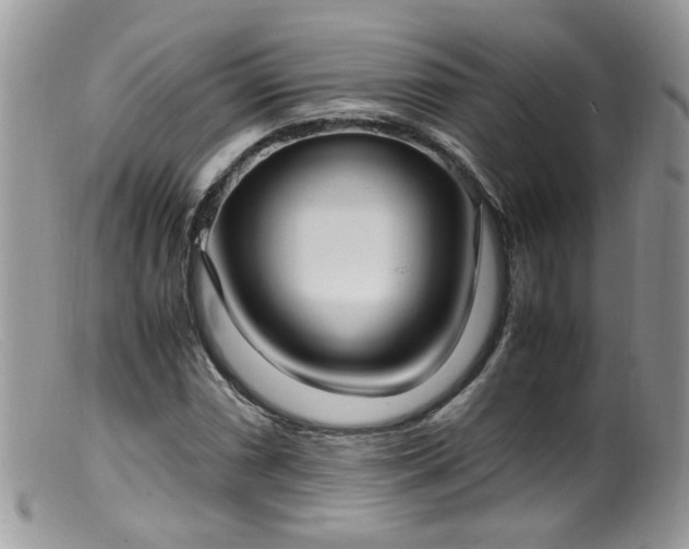 X0000099401066200805151700