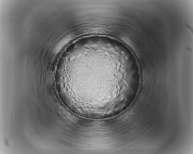 X0000099401067200805151700