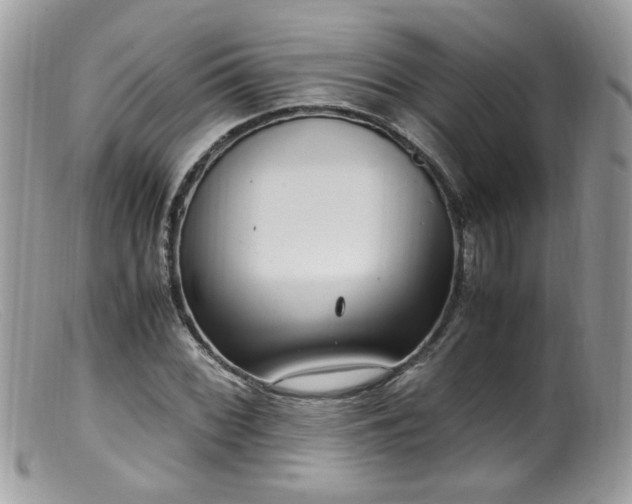 X0000099401068200805151700