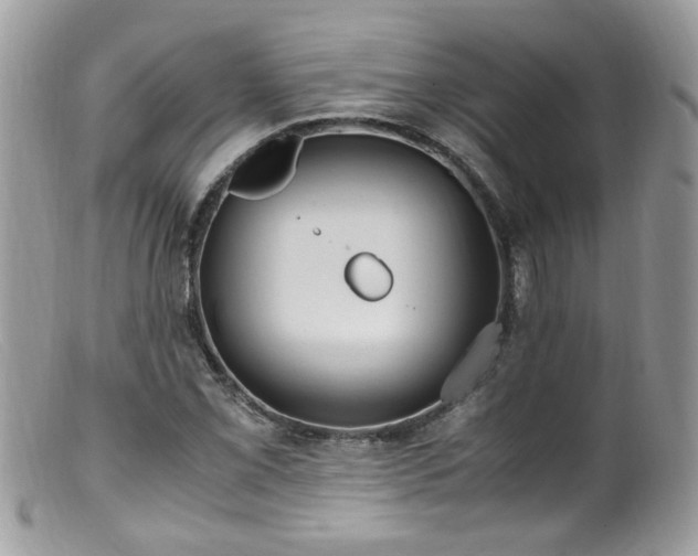 X0000099401069200805151700