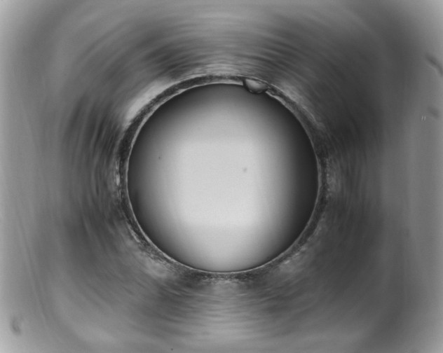 X0000099401070200805151700