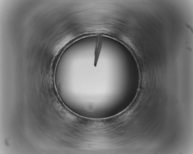 X0000099401071200805151700