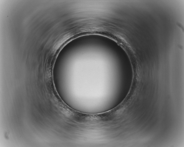 X0000099401073200805151700