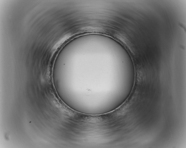 X0000099401074200805151700