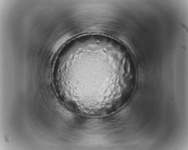 X0000099401075200805151700