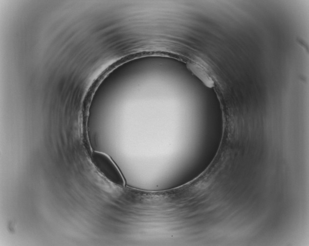 X0000099401076200805151700