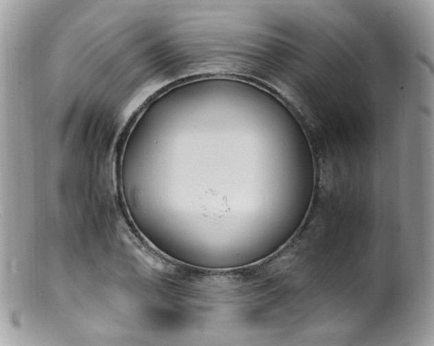 X0000099401078200805151700