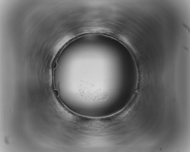 X0000099401079200805151700