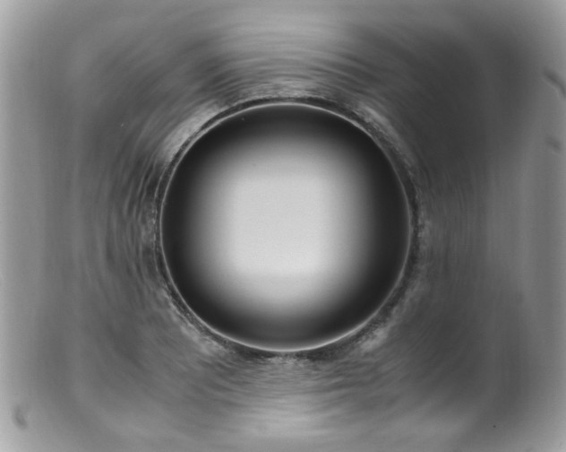 X0000099401081200805151700