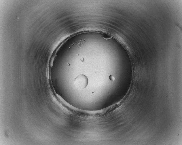 X0000099401084200805151700