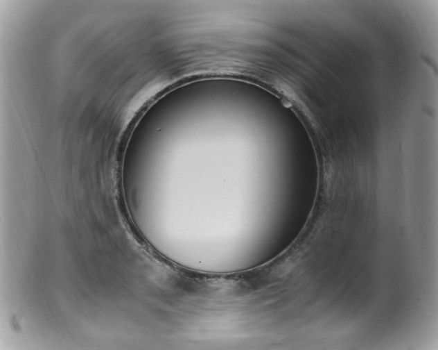 X0000099401085200805151700