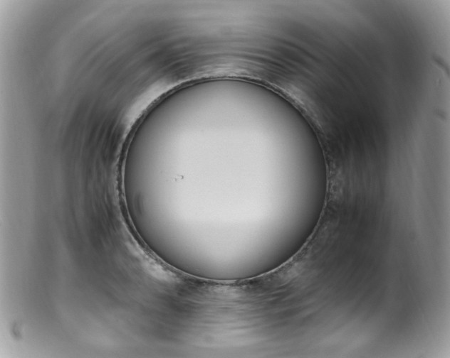 X0000099401086200805151700