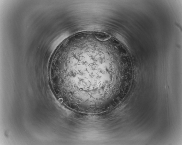 X0000099401087200805151700