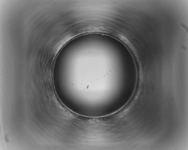 X0000099401089200805151700