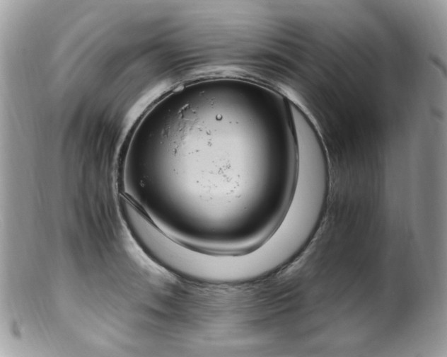 X0000099401090200805151700