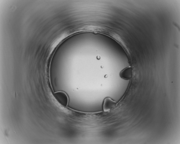 X0000099401091200805151700