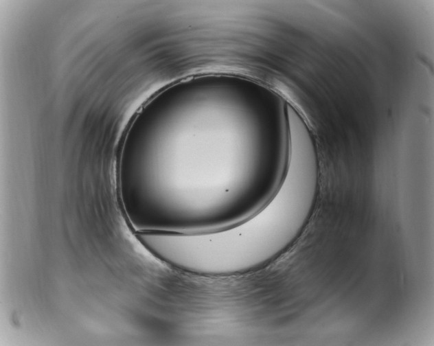 X0000099401092200805151700