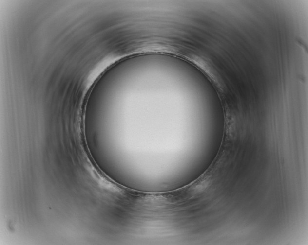 X0000099401094200805151700