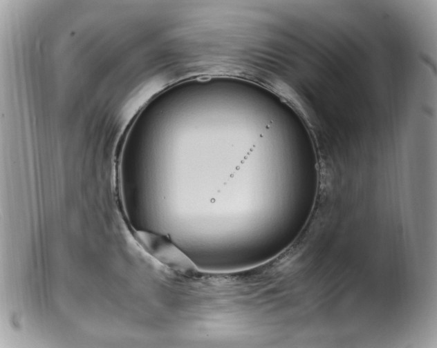 X0000099401095200805151700