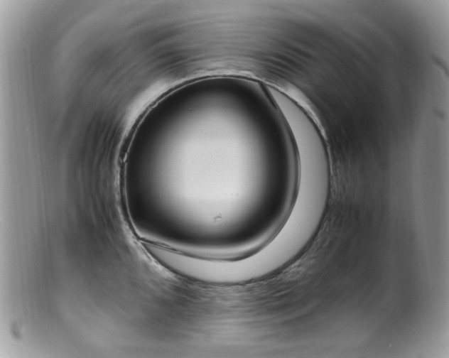 X0000099401096200805151700