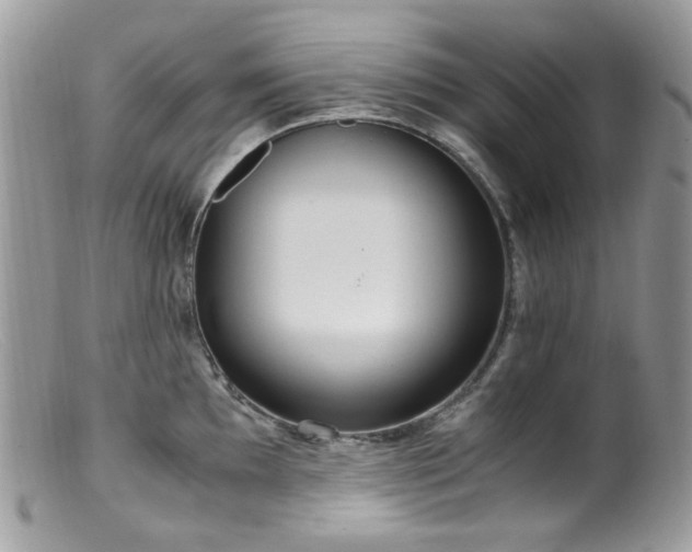 X0000099401097200805151700