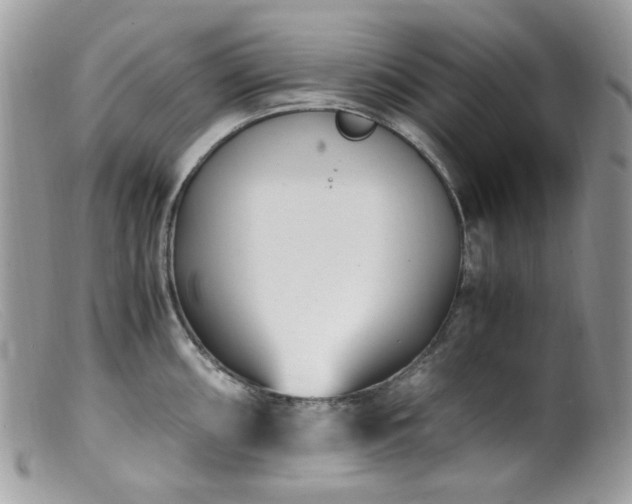 X0000099401098200805151700