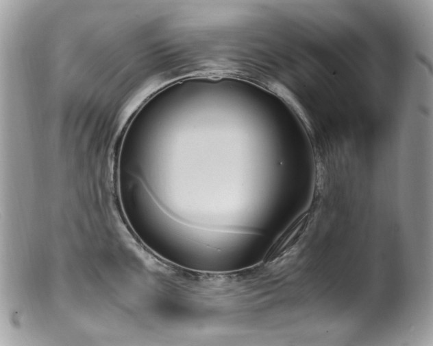 X0000099401099200805151659