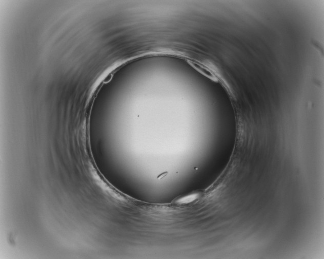 X0000099401100200805151659