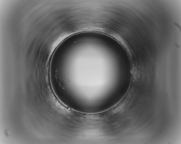 X0000099401102200805151659