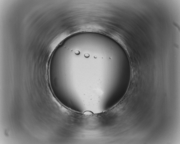 X0000099401103200805151659