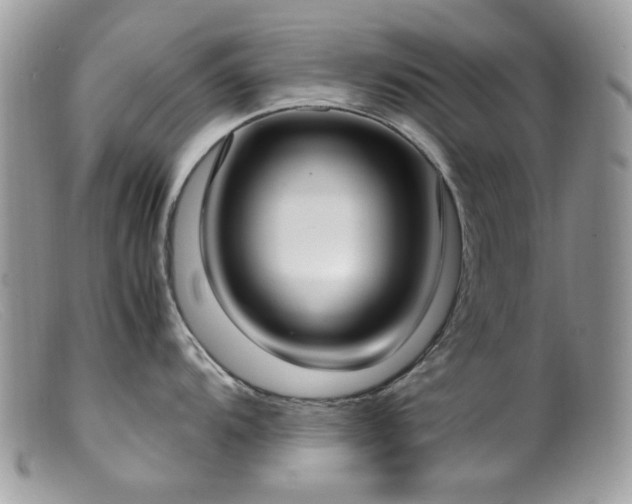 X0000099401104200805151659