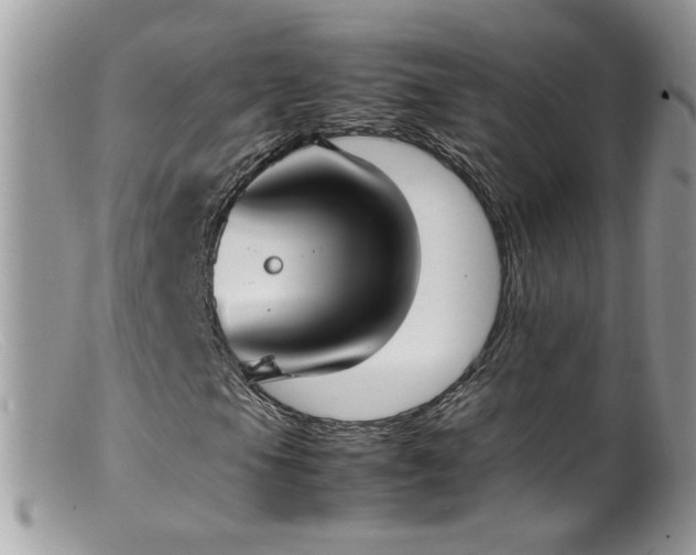 X0000099401105200805151659