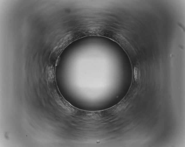 X0000099401107200805151659