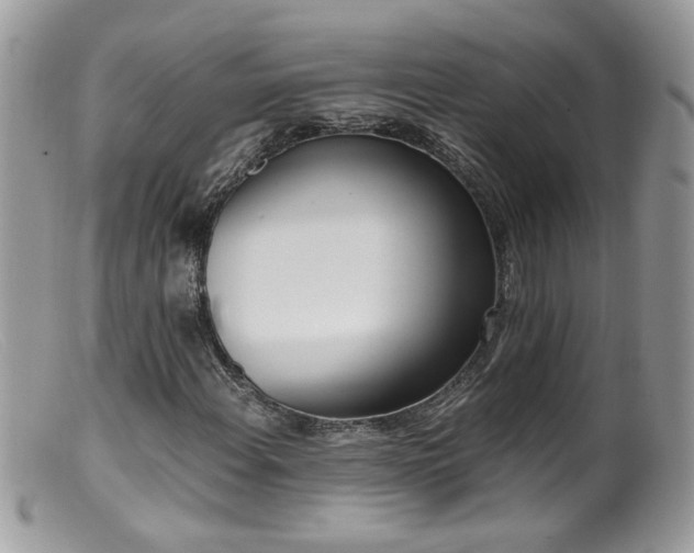 X0000099401108200805151659