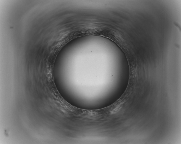 X0000099401109200805151659