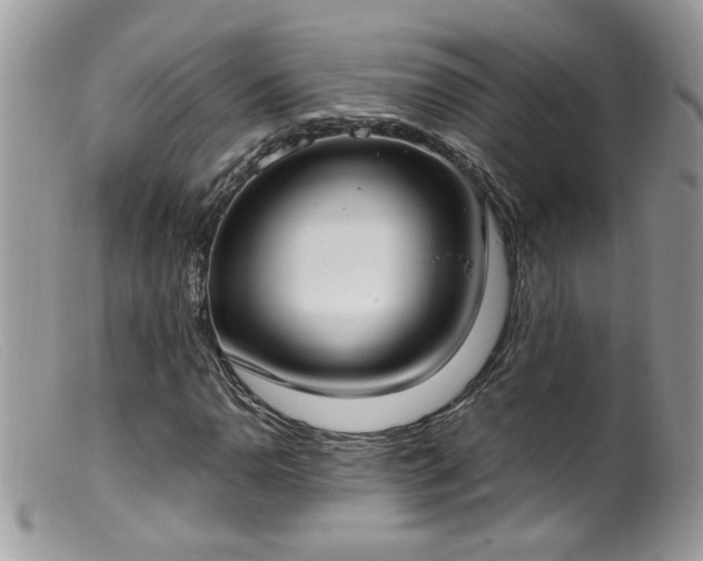 X0000099401110200805151659