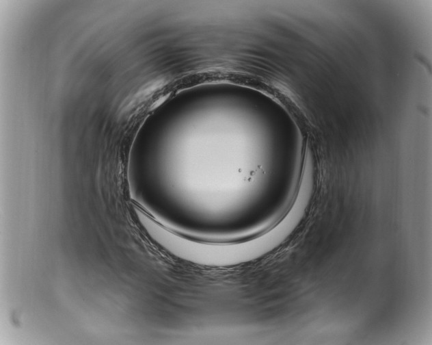 X0000099401111200805151659