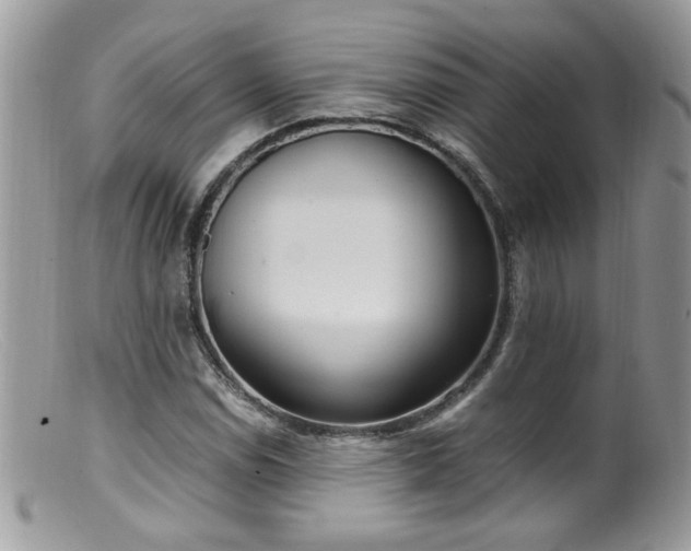 X0000099401114200805151659