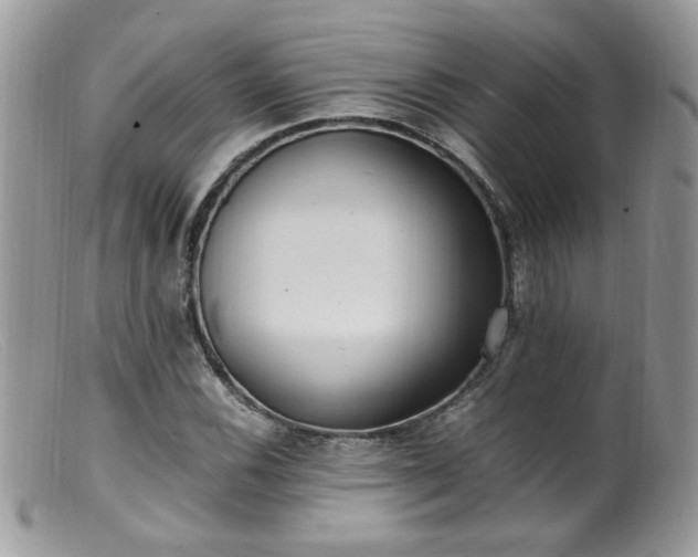 X0000099401116200805151659