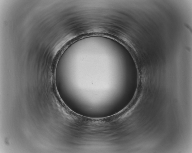 X0000099401117200805151659